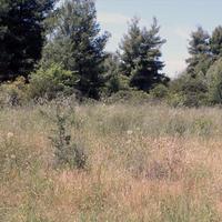 Земельный участок в Греции, 738 кв.м.