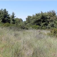 Земельный участок в Греции, 738 кв.м.