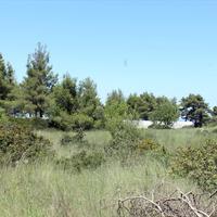 Земельный участок в Греции, 738 кв.м.