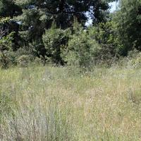 Земельный участок в Греции, 738 кв.м.