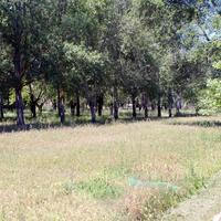 Земельный участок в Греции