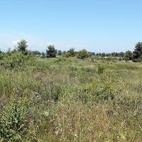 Земельный участок в Греции