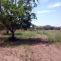 Земельный участок в Греции, 1688 кв.м.