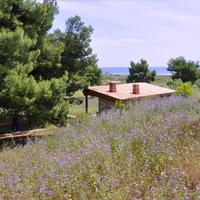 Вилла в Греции, 300 кв.м.