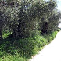 Земельный участок в Греции