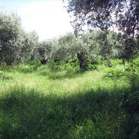 Земельный участок в Греции