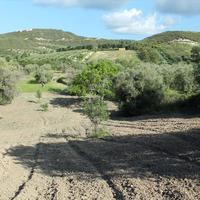 Land plot in Greece, 5000 sq.m.