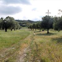 Land plot in Greece, 5500 sq.m.