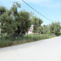 Land plot in Greece, 1000 sq.m.
