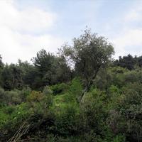 Земельный участок в Греции