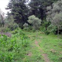 Земельный участок в Греции