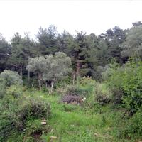 Земельный участок в Греции