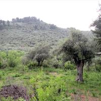 Земельный участок в Греции