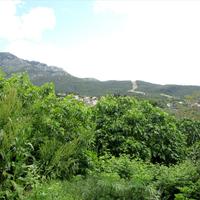 Земельный участок в Греции