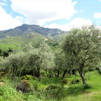 Земельный участок в Греции