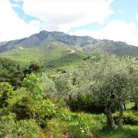 Земельный участок в Греции