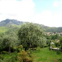 Земельный участок в Греции