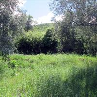 Land plot in Greece