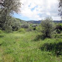 Land plot in Greece
