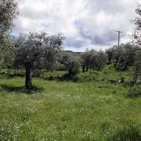 Land plot in Greece