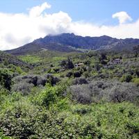 Земельный участок в Греции