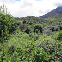 Земельный участок в Греции