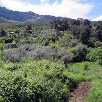 Земельный участок в Греции