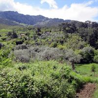 Земельный участок в Греции