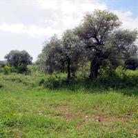 Земельный участок в Греции