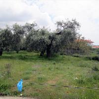 Land plot in Greece