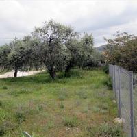 Land plot in Greece
