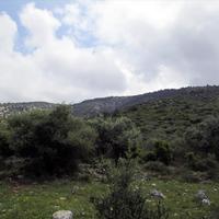Land plot in Greece