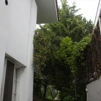 Villa in Greece, 370 sq.m.