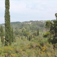 Land plot in Greece, 5000 sq.m.