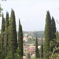 Land plot in Greece, 5000 sq.m.