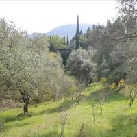 Land plot in Greece, 5000 sq.m.