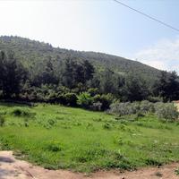 Land plot in Greece