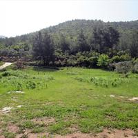 Land plot in Greece