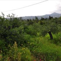 Land plot in Greece