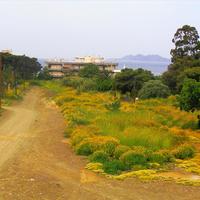 Other in Greece, 230 sq.m.