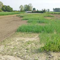 Land plot in Greece, 2375 sq.m.