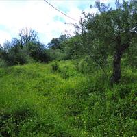 Land plot in Greece