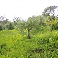Land plot in Greece