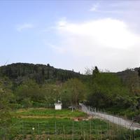 Other in Greece, 320 sq.m.