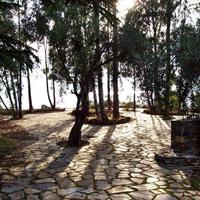 Отель (гостиница) в Греции, 1634 кв.м.