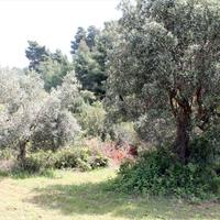 Land plot in Greece