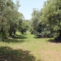 Land plot in Greece