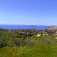 Land plot in Greece, 7000 sq.m.