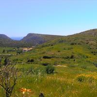 Land plot in Greece, 7000 sq.m.
