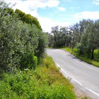 Land plot in Greece, 1500 sq.m.